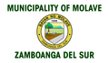 Flag of Molave