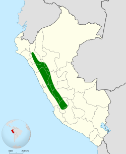 Distribución geográfica de la bandurrita estriada.