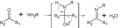 Reação de formação de uma imina.