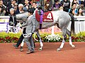 2014年阪神牝馬ステークス