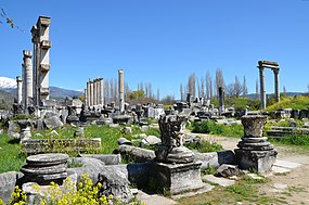 Some columns are still standing among the ruins of Aphrodisias. A snow-capped mountain can be seen in the background.