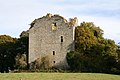 Donjon de Chamborand