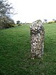 The petrified remains of the Llandyfrydog Bible Thief