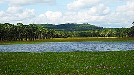 Lagoa dos Bangües.