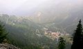 Chardonney sous la pluie