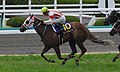 2017年優勝馬レーヌミノル