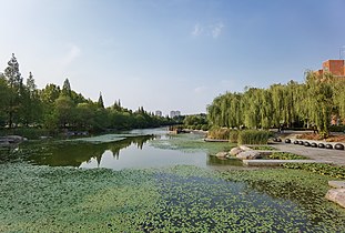 Panorama Danau Mei di samping kampus