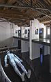 A modern anatomical theatre using projections on a body model, in the Musme museum in Padua.