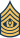 Command Sergeant Major