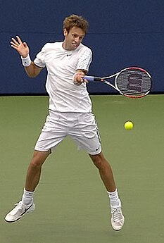 Daniel Nestor dublu mixt