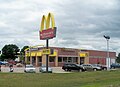 Image 1McDonald's Corporation is one of the most recognizable corporations in the world. (from Corporation)