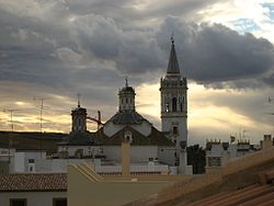 Skyline of La Palma del Condado