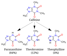 A diagram featuring 4 skeletal chemical formulas. Top (caffeine) relates to similar compounds paraxanthine, theobromine and theophylline.