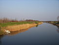 Donau-Tisa-Donau-kanalen nær landsbyen Rumenka, nær Novi Sad