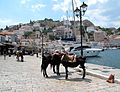 Snapshot from the seafront