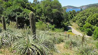 Jardin du Chili