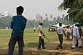 Cricket games