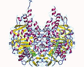 Image illustrative de l’article Monoamine oxydase