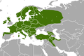 Aire de répartition de la Martre des pins