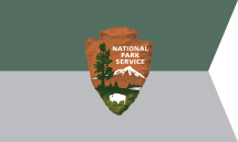 Guidon of the National Park Service