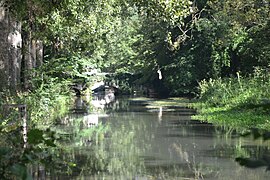 Les bords de la Juine à Étréchy.