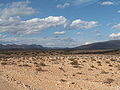 Landschaft im Naturschutzgebiet