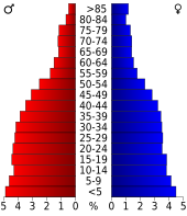 Bevolkingspiramide Ford County