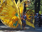 Kostuums in die Wes-Indiese dagparade (2008)