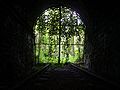 Darblay tunnel, France