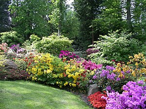 Jardin des rhododendrons dans le parc zoologique et botanique de Mulhouse.