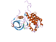 2jbo: PROTEIN KINASE MK2 IN COMPLEX WITH AN INHIBITOR (CRYSTAL FORM-1, SOAKING)