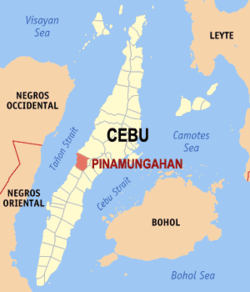 Mapa ning Cebu ampong Pinamungajan ilage