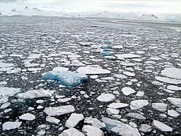 Is i Admiralty Bay på King George Island