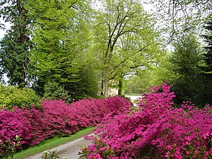 Parc du château de Trévarez.