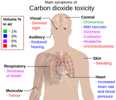 Main symptoms of carbon dioxide toxicity, by increasing volume percent in air.[15][16]