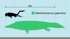 Mastodonsaurus