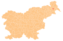 Location of the Municipality of Veržej in Slovenia