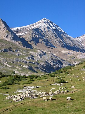 Vue de la face nord du Taillon.