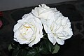 De igual manera recibe estas rosas... un detalle especial en este día. ¡¡Abrazos!! Snakeyes - ¿qué ondas? 16:54 11 feb 2008 (UTC)