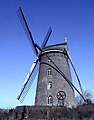 Windmühle „Steenmeulen“