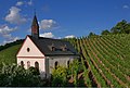 Weinberge um St. Germanus