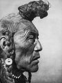 Bear Bull (Urso Búfalo) (Blackfoot)