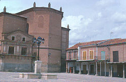 Skyline of Alaejos