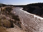 A medium-sized river flows in bright sunlight through a forest.