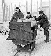 因塔的立陶宛被驱逐者将一车原木推入矿井（1956年）