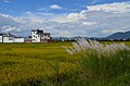 Rice fields and the town of Xizhou.