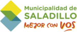 Official logo of Saladillo