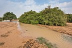 Ephemeral stream (jeri) in silty depression in Ain Al Nuaman