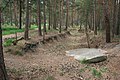 Image 22Pineferous forest of the sandy Bagshot Formation spanning parts of four boroughs towards the north-west and in the far west of the county, with defensive positions for historic army training near Deepcut and Pirbright (from Portal:Surrey/Selected pictures)