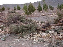 Broken cinder blocks and felled palm trees